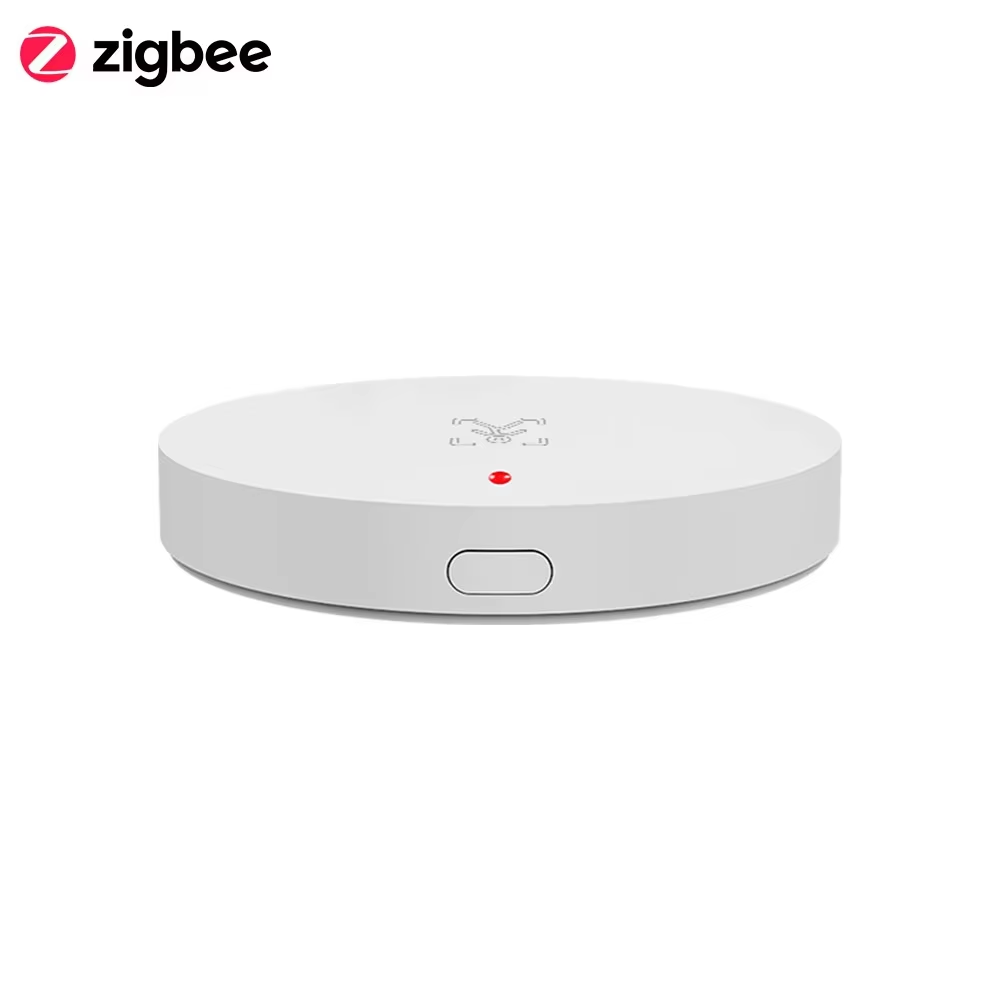 Tuya Zigbee 3.0 24GHz MmWave 人 - Home Automation Technology のレビューと価格
